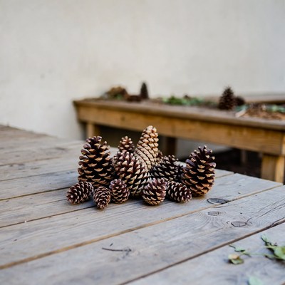 Pinecones arranged on wooden table