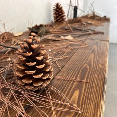 Pinecones and twigs on table