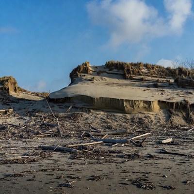 Erosion at the sandy coastline during daylight