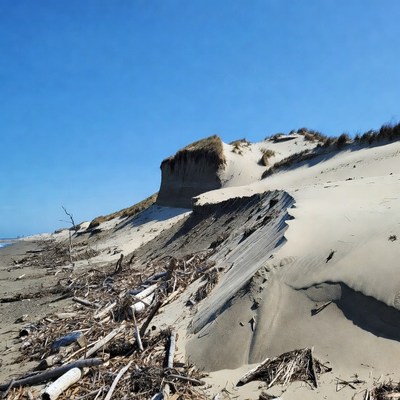 Coastal erosion at sandy beach
