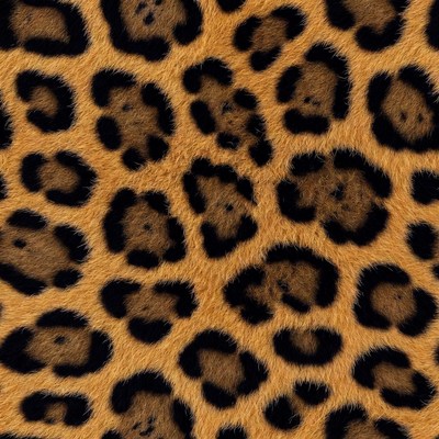 Leopard pattern on fur background