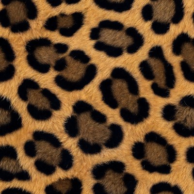 Leopard print fur texture shown up close