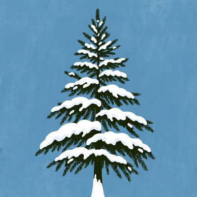 Snowy pine tree against blue background