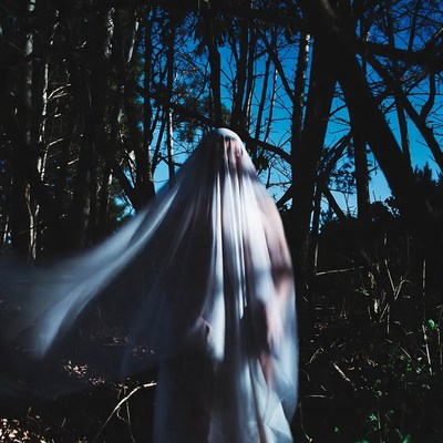 Figure in a dark forest at night