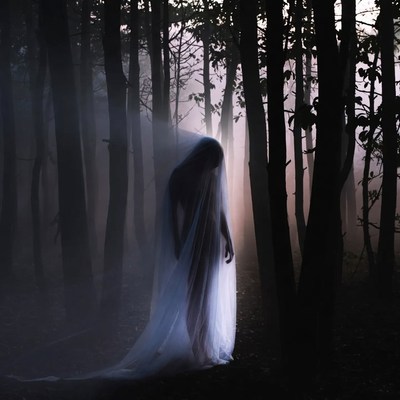 Figure in misty forest at dusk