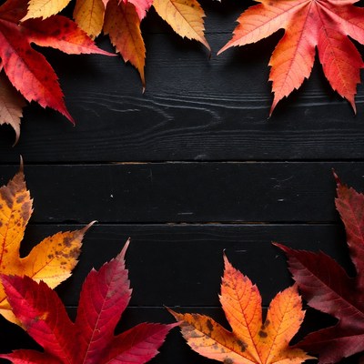 Fall leaves on dark wood surface