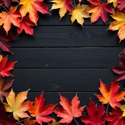 Colorful leaves on dark wood