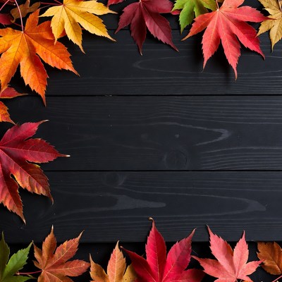 Colorful leaves on dark wood surface