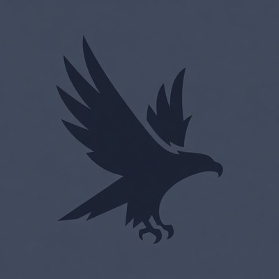 Dark silhouette of a flying bird