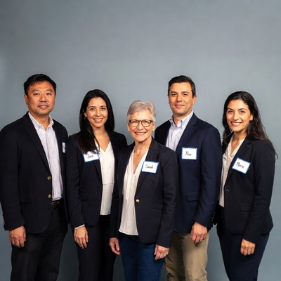 Group of professionals in business attire