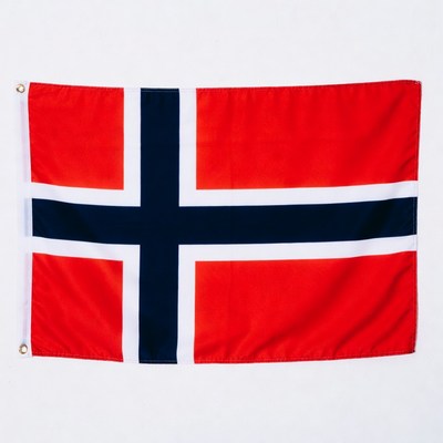 Norway flag displayed on a wall