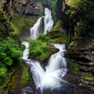 Waterfall flowing in green forest
