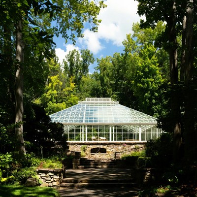 Glasshouse surrounded by trees