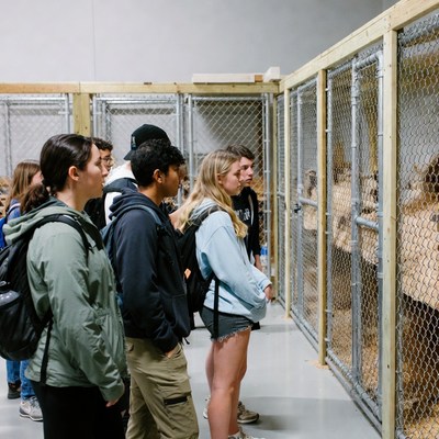 Group views animals in enclosures