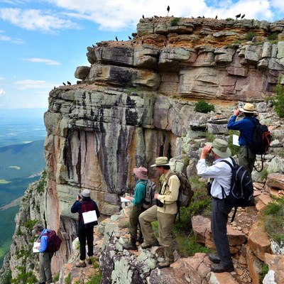 Group studies birds on mountain cliff