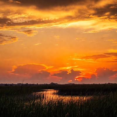 Sunset over the wetlands by a river