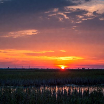 Sunset over marshland landscape