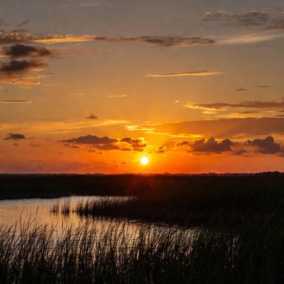 Sunset over the marshlands at evening