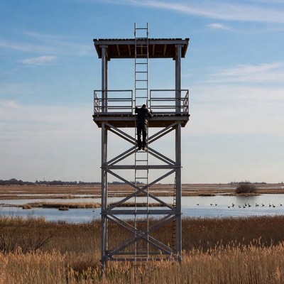 Person climbing a watchtower at wetland