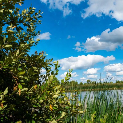 Clear sky over a quiet lake