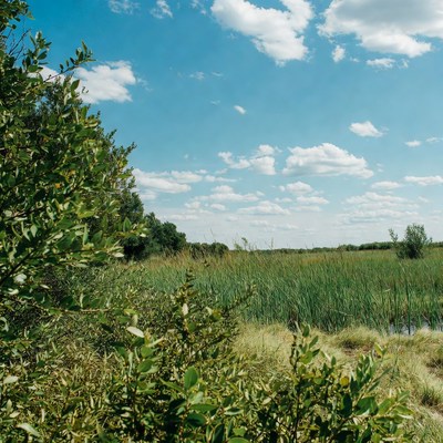 Wide green landscape under blue sky