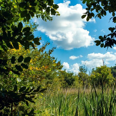 Bright sky over green landscape