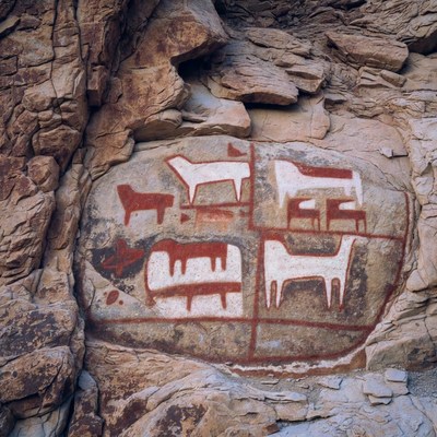 Ancient rock art in desert location