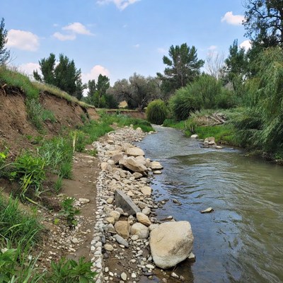 Riverbank with stones and vegetation near water