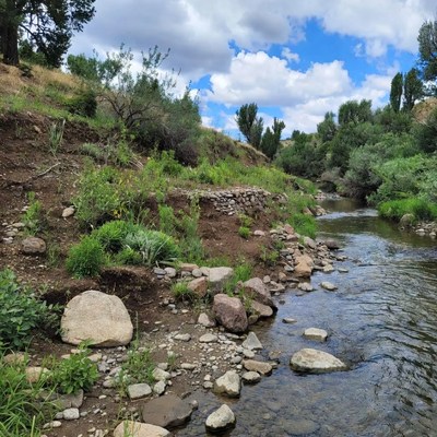 River flows past rocky shore in nature