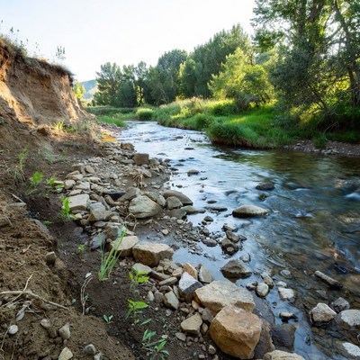 Flowing river next to the shore