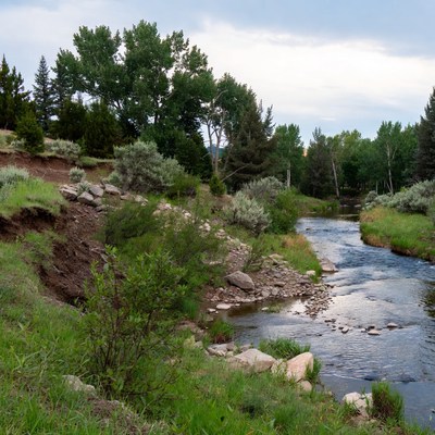 Stream flowing through green landscape
