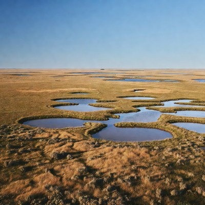 Wetlands with ponds under blue sky