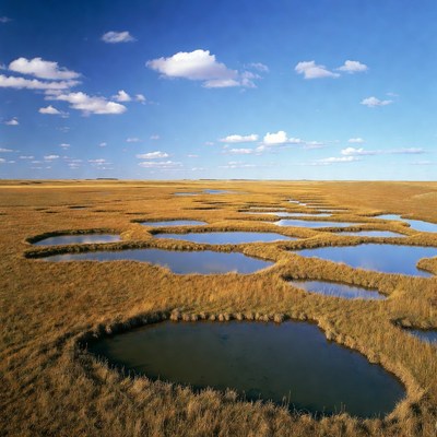 Colorful wetlands under blue sky