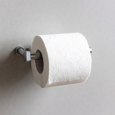 Roll of toilet paper on wall