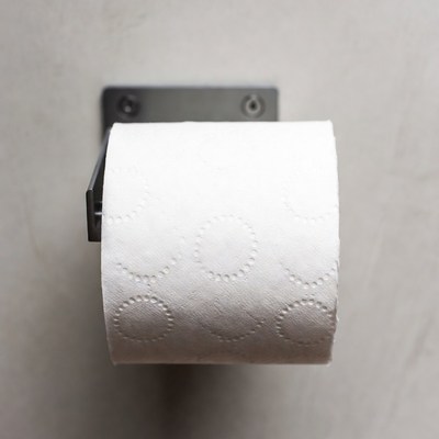 Toilet paper rolls on holder