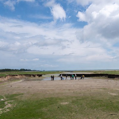 People working near water in open field