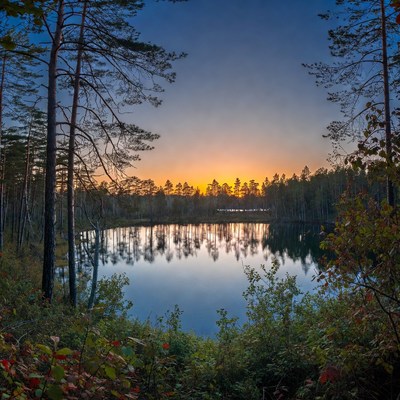 Sunset over a forest lake