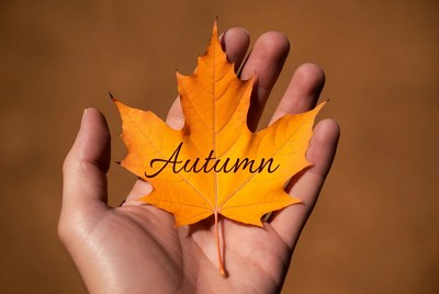 Hand holding an autumn leaf
