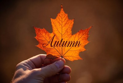 Holding a leaf in autumn light