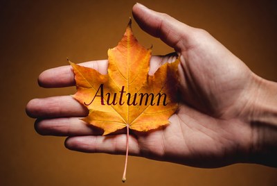 Hand holding autumn leaf display