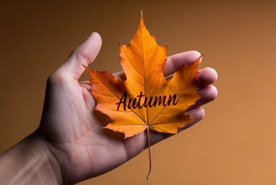 Holding a leaf in autumn season