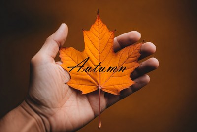 Holding a maple leaf in autumn
