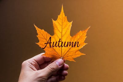 Hand holding autumn leaf with text