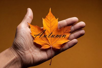 Hand holding autumn leaf with text