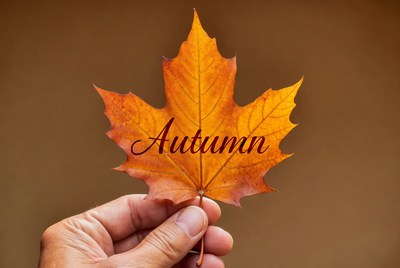 Holding a leaf in autumn time