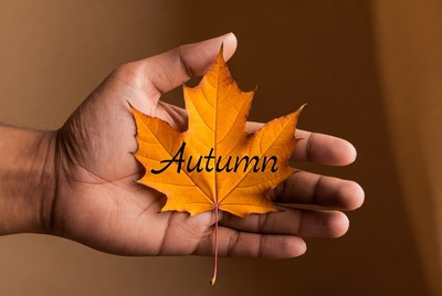 Hand holding a fallen autumn leaf