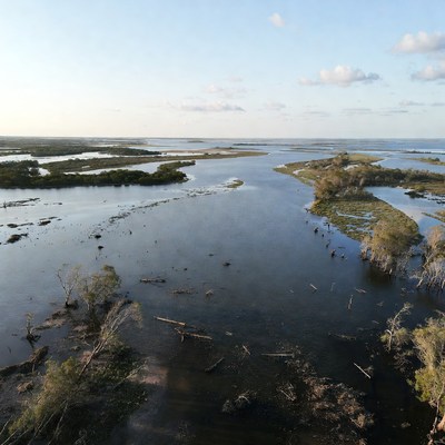 Wetlands in the afternoon light