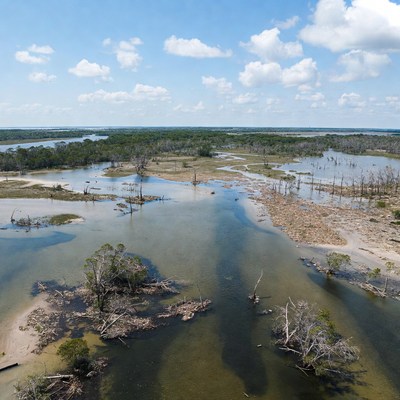 Landscape view of wetland area with trees