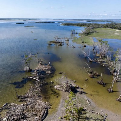 Water and land meet in wetlands