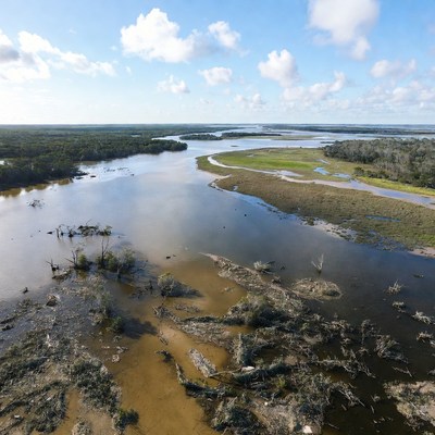 Wetland area near river with trees